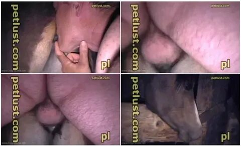 Petlast - My Lovely Horse Fucking - Horse Porn Videos Zoo Se