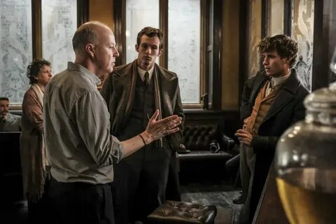 7 Hal yang Perlu Diketahui Sebelum Menonton 'Fantastic Beast