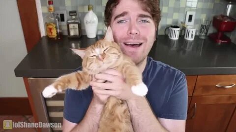 YouTube Star Shane Dawson Trending for All The Wrong Reasons