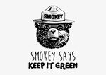 Smokey The Bear Drawing - 500x500 PNG Download - PNGkit