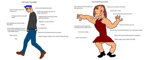 Virgin Trans Male VS Chad Trans Female : virginvschad.