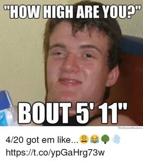 CHOW HIGH ARE YOU 011 BOUT We Know Memos 420 Got Em Like 😩 😂