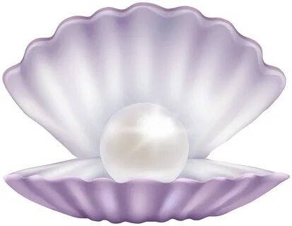 open clam shell clipart - Clip Art Library