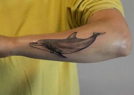 65+ Best Dolphin Tattoo Designs & Meaning - 2019 Ideas