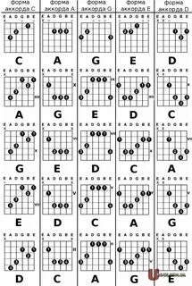 Аккорды для начинающих в картинках Играть простые аккорды дл
