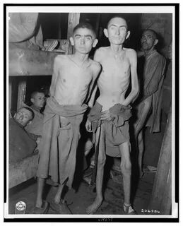 Japanese concentration camps images