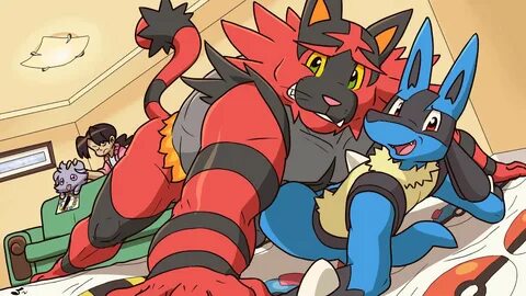 Only Jerry on Twitter: "An Incineroar and Lucario play an in