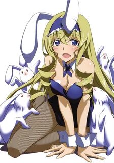 Cecilia Alcott - Infinite Stratos - Mobile Wallpaper #978219