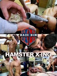 Hamster X-ing