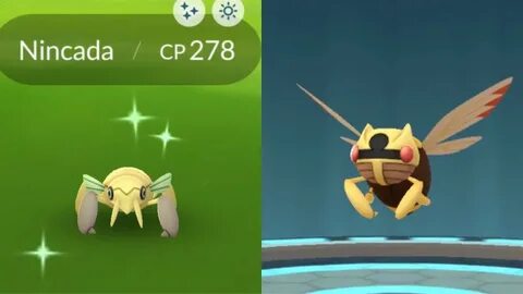 CATCHING SHINY NINCADA IN POKÉMON GO!! Shiny Ninjask Evoluti