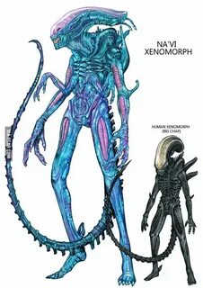 Na'Vi Xenomorph Vs. Human Xenomorph - 9GAG