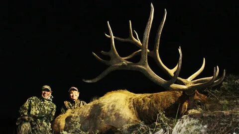 441" Bull Elk Hunt in Nevada - Sue Ann Kinney - MossBack - Y