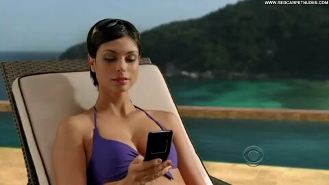 Morena Baccarin The Mentalist The Mentalist Celebrity Beauti