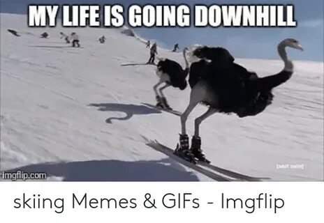MY LIFE IS GOING DOWNHILL Sdut Swim Imgflipcom Skiing Memes 