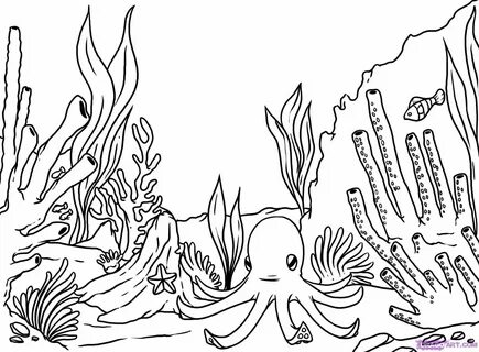 Coral Reef Line Art Related Keywords & Suggestions - Coral R