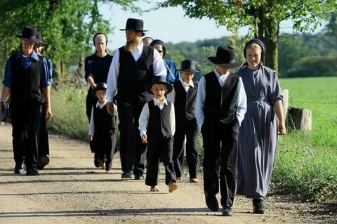 Чем объясняется долголетие амишей? Ученые говорят о генетиче