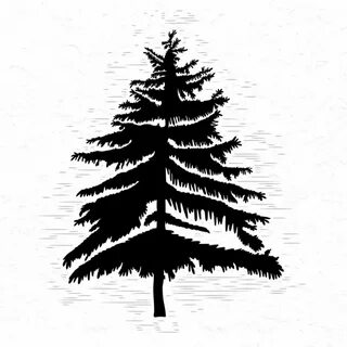 Christmas Tree Fir Tree Black Isolated White Background Wint