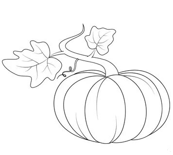 30 Free Printable Pumpkin Coloring Pages