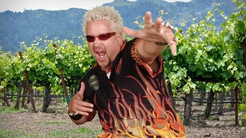 Guy Fieri to Open a Wine Tasting Room at His Sonoma Vineyard