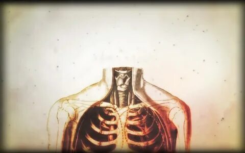 Anatomy human body House M_D wallpaper 1680x1050 209973 Wall