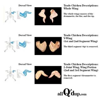 Trade Descriptions and Diagrams for Chicken: Wing Breakdown 