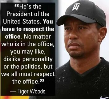 Tiger Woods meme - American Intelligence Media