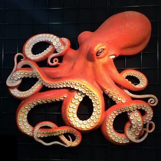 Erupt spur sick wall art octopus What's wrong conscience Inf