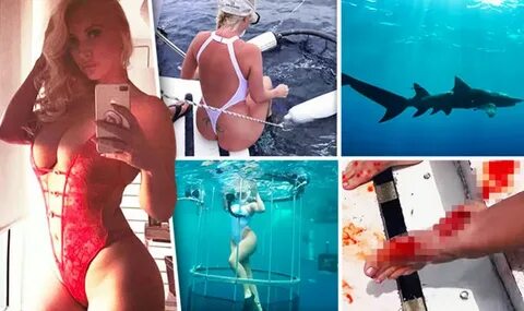 Porn star left swimming in blood after SHARK attack during v