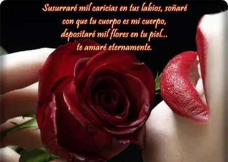 The Best 14 Imagenes De Rosas Rojas Hermosas Con Frases - Ar