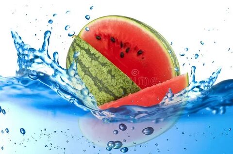 Watermelon splash and ice stock photo. Image of splash - 930