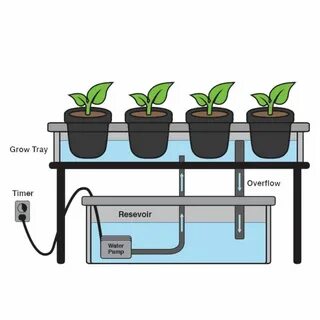 5 Tips For Growing Hydroponic Potatoes - Climatebiz