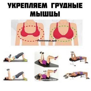 Упражнения для подтяжки грудных мышц для женщин - всё о тренировках.