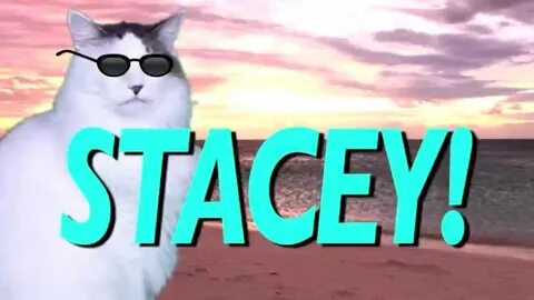 HAPPY BIRTHDAY STACEY! - EPIC CAT Happy Birthday Song - YouT