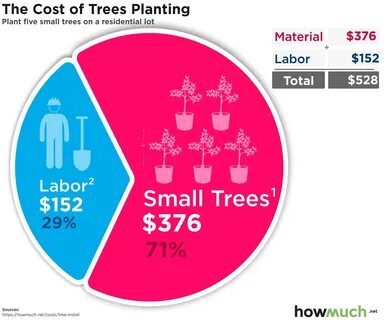 Cost to Plant a Tree.