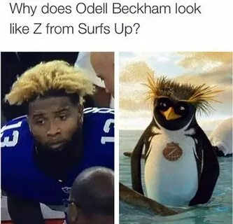 Odell Beckham Jr Hair Memes (10 Photos) Odell beckham jr fun