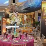Host an Event at the Museum Smithsonian National Museum of N