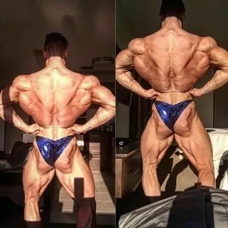 Chris Bumstead's back Bodybuilding workouts, Bodybuilding, C