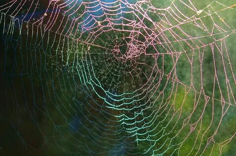 spider-web-615272_1280 - StyleWorks