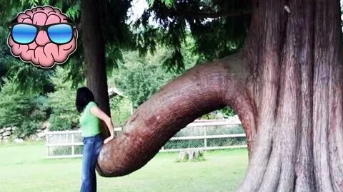 10 Pictures That PROVE You Have A DIRTY MIND Top Trending Vi