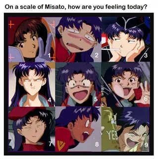 Misato Still The Best Neon Genesis Evangelion Know Your Meme