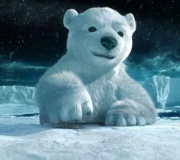 Download Wallpaper Polar bear on the ice (960x854). The Wall