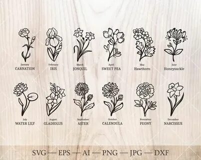 Birth Flower SVG Bundle. Birth Month Flower Outline Drawings