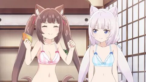 Nekopara T.V. Media Review Episode 4 Anime Solution