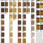 Ion Hair Color Chart Blonde at Color