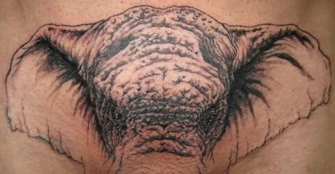 Beautiful Design For Elephant Tattoo