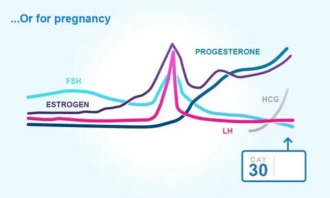 Gallery of progesterone ovulation and bbt charting early - w