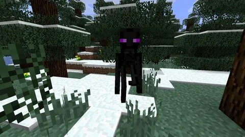 Enderminion Farlanders Wiki Fandom