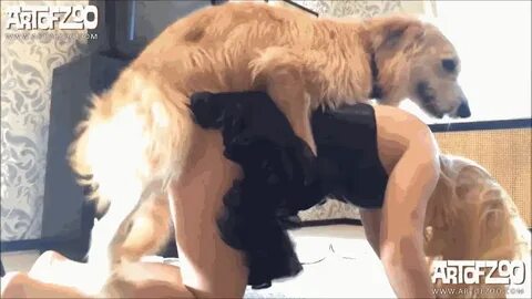 Dog knotted anal gif