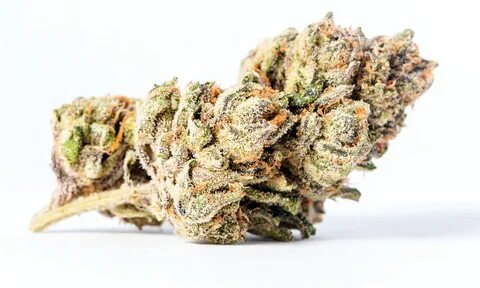 Rozé All Day: A Strain Review of Zkittlez's Famed Offspring