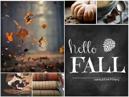 Hello Fall collage by Anita Herbst fotografie, Herbst hallow